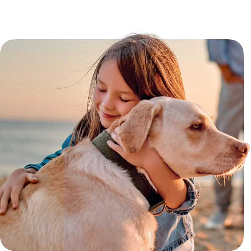 A young girl with eyes closed hugging a yellow Labrador retriever on a beach at sunset.